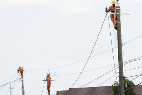 Vinh Long : promouvoir l'électrification en zone rurale