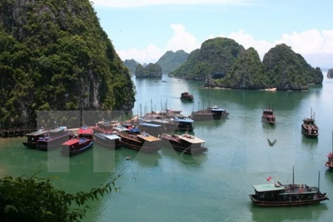 Thrillist : Le Vietnam figure parmi les destinations les plus attrayantes d’Asie du Sud-Est