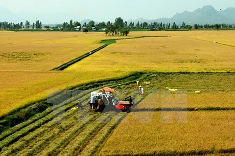 Satake veut fournir des machines agricoles modernes à Can Tho