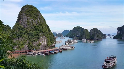 De nouvelles grottes se dévoilent près de la baie de Ha Long