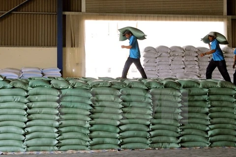 Bond des exportations nationales de riz en janvier