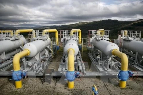 Tokyo Gas du Japon veut investir dans la province de Ha Nam