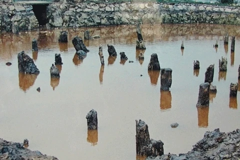 Préservation de la zone des vestiges historiques de Bach Dang