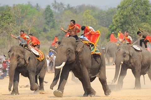 Bientôt la Fête des éléphants de Buôn Dôn 2016