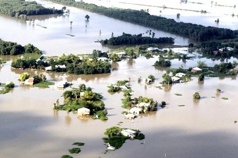 Renforcer la gestion du risque des catastrophes naturelles dans le delta du Mékong