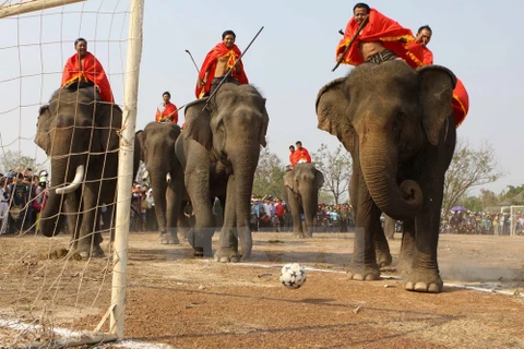 La Fête des éléphants de Dak Lak