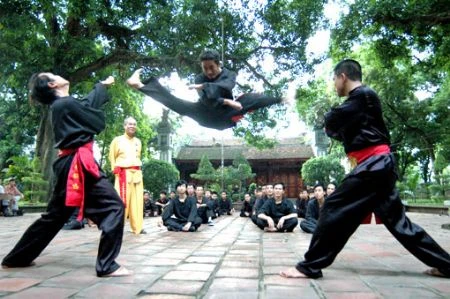 En juillet pour les 1ers Championnats du monde d'arts martiaux traditionnels du Vietnam