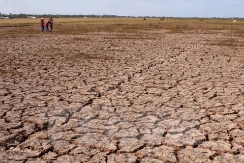MRC: la sécheresse et la salinisation perdurent dans le delta du Mékong