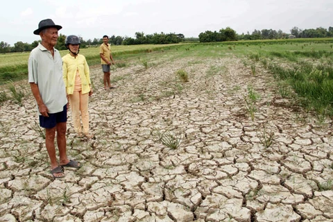 Le delta du Mékong cherche à s’adapter à la salinisation et à la sécheresse
