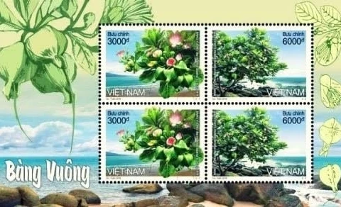 Emission d’un ensemble de timbres sur un arbre emblématique de Truong Sa