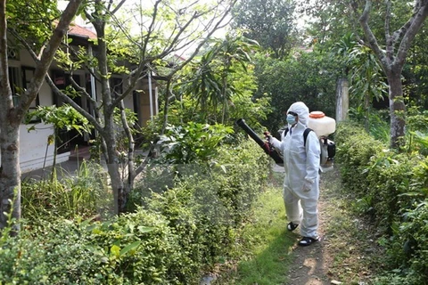 Aucun nouveau cas de virus Zika au Vietnam
