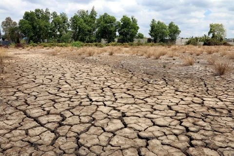 Le Laos vient en aide aux Vietnamiens soufferts de la sécheresse 