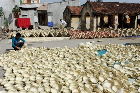 Thanh Hoa cherche à préserver ses villages de métiers