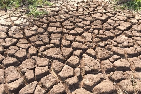 Le Japon aide le Vietnam à surmonter la sécheresse et la salinisation 