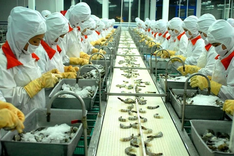 Développement d’une chaîne de valeur durable dans la production de crevettes
