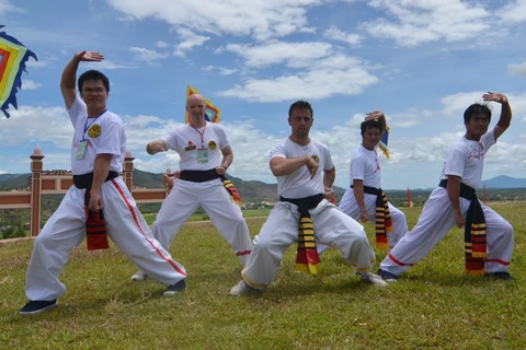 Le 6e festival international des arts martiaux traditionnels du Vietnam attendu en août