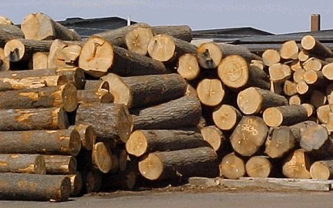 Forte baisse des importations de bois et d’ameublement