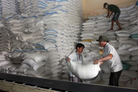 Vietnam et Thaïlande gagnent l’adjudication d’exportation de 250.000 tonnes de riz 