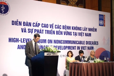 Forum de haut niveau sur les MNT au Vietnam