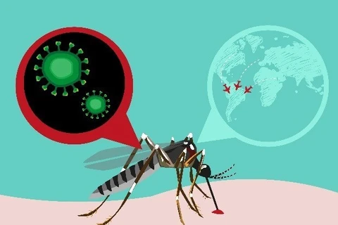 Le cas infecté par le virus Zika au Japon n’est pas vietnamien