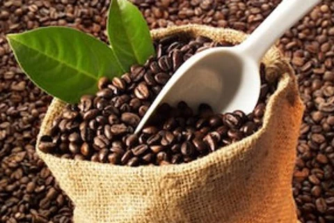 Les exportations nationales de café ont dépassé les prévisions