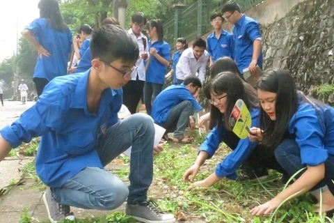 Yên Bai fait écho à la campagne «Rendre le monde plus propre»