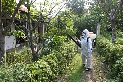 Le Vietnam se prépare à combattre le virus Zika