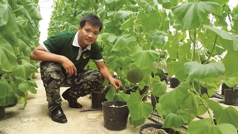 Bio et bons, le pari engagé de Clever Food