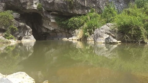 Une grotte encore à l’abri des regards à Quang Ninh