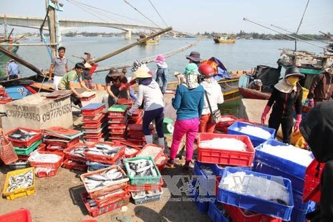 Les réserves de poissons de mer du Vietnam atteignent près de 4,2 millions de tonnes