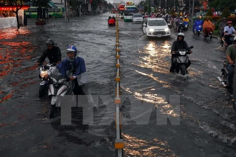 Hô Chi Minh-Ville souhaite accueillir des investisseurs néerlandais