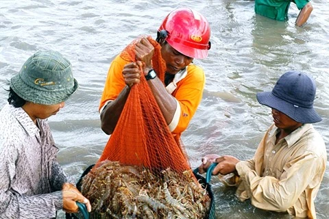 Créer un label pour les crevettes vietnamiennes 