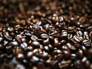 Bond des exportations nationales de café en Algérie depuis janvier