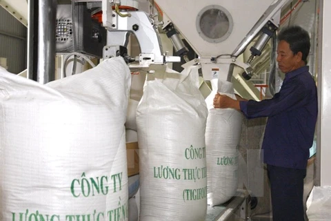 Les importateurs chinois sondent le marché du riz d'An Giang