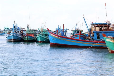 Le delta du Mékong développe son économie maritime