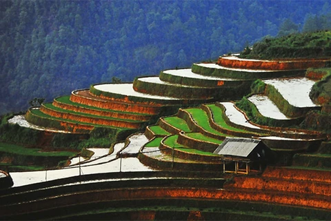 La beauté du Vietnam s’expose à Hanoï