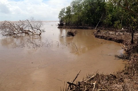 La BM aide un projet d’adaptation aux changements climatiques dans le delta du Mékong