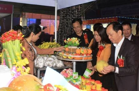 Foire commerciale internationale de la partie Nord du Centre-Thanh Hoa 2016 