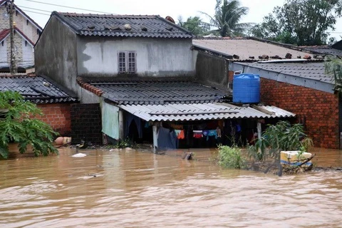 Le PM décide d’octroyer 2.000 tonnes de riz aux sinistrés de Binh Dinh