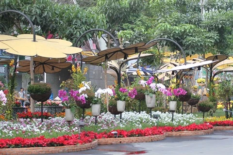 Têt : fêtes des fleurs à Hô Chi Minh-Ville