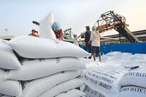 Le Vietnam entend favoriser l’accès au marché mondial de ses exportateurs de riz