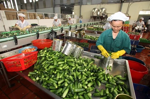 Les exportations végétales en pleine croissance