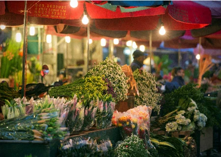 Les marchés aux fleurs de Hanoi