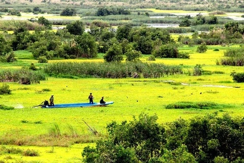 Plantation d'arbres submergés en écho à la Journée mondiale des zones humides