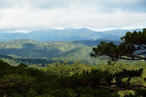 Lam Dong consacre 58 millions de dollars à la préservation de la biodiversité