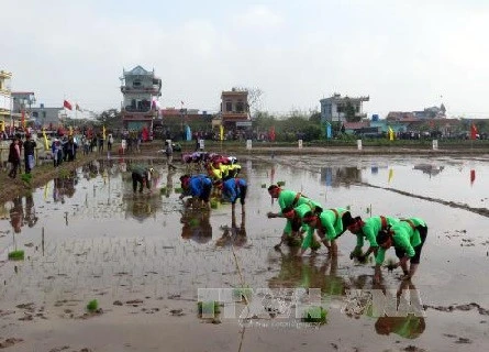 La vice-présidente Dang Thi Ngoc Thinh à la fête de la descente aux champs à Nam Dinh