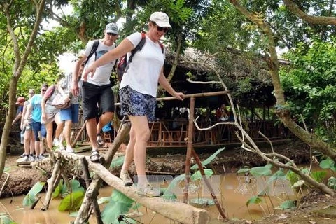 Tiên Giang se concentre sur le tourisme