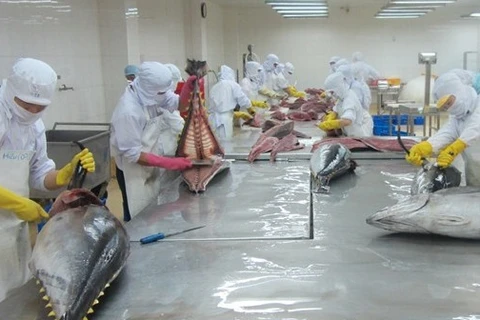 Les exportations nationales de thon retrouvent des couleurs 