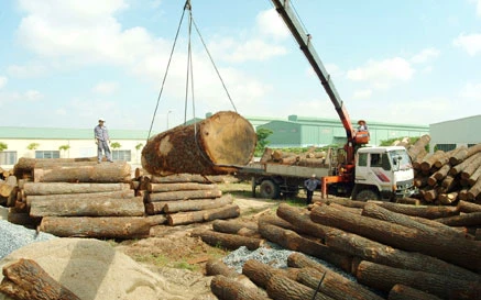 Exportations de bois: 7,5 milliards de dollars visés cette année