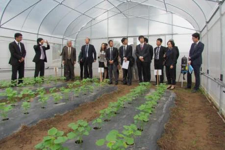 Agriculture : le Japon sonde des opportunités d’investissement à Hà Nam